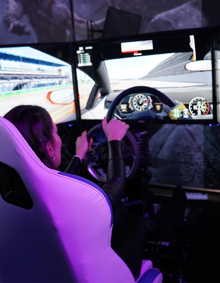 Driving Simulator Starter
